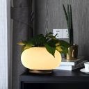 Oval Bedroom Table Light Industrial Opal Glass LED White Night Lamp with Plant Decoration