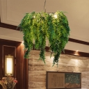 Plant Metal Chandelier Light Industrial 3 Bulbs Restaurant LED Hanging Lamp in Green