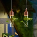 1 Head Tube Pendant Lighting Industrial Clear Glass Hanging Light in Brown with Plant Deco