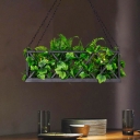 Metal Black Island Pendant Light Plant 2 Bulbs Industrial LED Hanging Lamp Kit for Restaurant