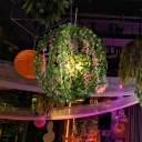 Globe Cage Restaurant Chandelier Antique Iron 4 Bulbs Black Suspension Pendant Light with Green Plant