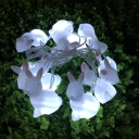 White Rabbit LED String Lights Modern 4.9 Ft 10-Head Plastic Fairy Light in White/Warm/Multi Colored Light