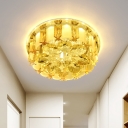Amber Crystal Round Flushmount Modernist LED Porch Ceiling Lamp with Petal Design