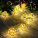 4.9 Ft Acorn Indoor Christmas Light Strip Plastic 10 Lighrs Nordic LED Fairy String Light in Beige, Warm/Multi Colored Light