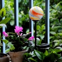 Flamingo/Ball Solar Powered Stake Lamp Modernism White-Orange/Pink Glass Courtyard LED Ground Light Set