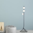 Clear Glass Oval Floor Lighting Modern 3-Light Black/Chrome/Gold Finish Tree Floor Lamp with Tri-Leg