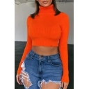 Womens Simple Plain Turtleneck Long Sleeve Sexy Fitted Cropped Pullover Sweater Top