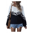 Chic Womens Leopard Printed Patchwork Color Block Crew Neck Long Sleeve Relaxed Pullover Knitwear Top