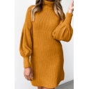 Winter Warm Dress Solid Color Bishop Sleeve High Neck Regular Fitted Short Sweater Dress for Women