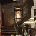 Warehouse Pill Capsule Pendulum Light 1-Light Iron Pendant Lighting in Black with Inner Clear Glass Shade