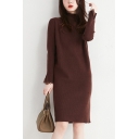 Casual Women's Sweater Dress Solid Color Lace Trim Mock Neck Long-sleeved Ribbed Knit Regular Fitted Knee Length Sweater Dress