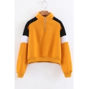 Half-Zip Stand Collar Color Block Long Sleeve Sweatshirt