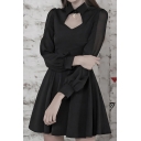 Fancy Women's Blouse Shirt Solid Color Hollow out Turn-down Collar Long Bishop Sleeves Regular Fitted Short A-Line Blosue Shirt
