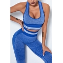 Basic Womens Cami Top Contrast Stripe Racerback Quick Dry Seamless Skinny Fitted Cropped Sleeveless Scoop Neck Fitness Bra