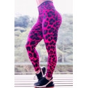 Fashionable Women's Leggings Leopard Printed High Waist Easy Dry Elasticity Full Length Yoga Leggings