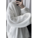 Warm Thickened Sweatshirt Fur Fleece Crew Neck Soft Brushed Long Sleeves Regular Fitted Sweatshirt