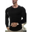Leisure Men's Tee Top Solid Color Round Neck Long Sleeves Slim Fitted Bottoming T-Shirt