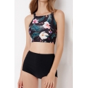 Trendy Women's Set Floral Leaf Tropical Pattern Square Neck Sleeveless Fitted Crop Top with High Rise Pants Swimwear Co-ords