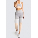 Women's Training Set Crew Neck Sleeveless Crop Top with High Waist Ankle Length Skinny Pants