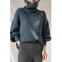 Trendy Women's Sweater Solid Color Ribbed Knit Long Bishop Sleeves High Neck Relaxed Fit Sweater