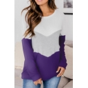 Leisure Women's Tee Top Color Block Contrast Panel Crew Neck Long Sleeves Regular Fitted T-Shirt