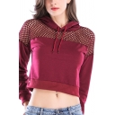 Hollow Out Mesh Patched Long Sleeve Cropped Hoodie