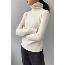 Fancy Womens T Shirt Knit Solid Color Long Sleeve Turtleneck Slim Fitted Tee Top