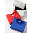 Stylish Mens Sweatshirt Solid Color Long Sleeve Crew Neck Relaxed Pullover Sweatshirt