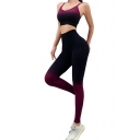 Novelty Womens Three Pieces Ombre Color Seamless High Waist Skinny Fitted Leggings Scoop Neck Cropped Bra Long Sleeve Yoga T-Shirt Set
