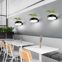 Acrylic Halo Wall Light Fixture Loft Restaurant LED Sconce Lamp with Glass Plant Pot