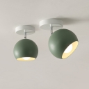 Green Dome Flush Ceiling Light Macaron 1-Light Metal Adjustable Semi Mount Lighting for Foyer