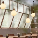 Modern Dining Room White Glass Pendant Metal Cord 1-Head Suspension Lighting