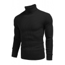 Mens Basic Sweater Knitted Solid Color Long Sleeves Turtleneck Fitted Sweater Top