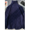Chic Knitwear Plain Cable Knitted Long-sleeved Turtle Neck Relaxed Slimming Pullover Sweater for Boys