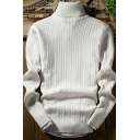 Men's Fashionable Sweater Solid Color Cable Knitted Long Sleeve Turtleneck Fitted Pullover