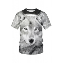 Guy's Freestyle Tee Shirt 3D Wolf Pattern Short-sleeved Round Neck Relaxed Fit T-Shirt
