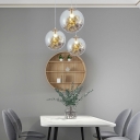 Modern Style Single Bulb Pendant Lamp Clear Glass Globe Shade with Plant Lighting Fixture for Bedroom