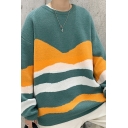 Street Look Boy's Sweater Color-block Crew Neck Rib Trim Long Sleeves Regular Pullover Sweater