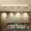 Minimalist Style LED Metal Indoor Ceiling Light Fixture with Retangular Acrylic Shade