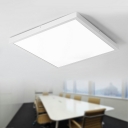 Minimalist Plastic Lampshade LED Flush Mount Light Acrylic Ceiling Lamp for Living Room