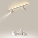Warm Light LED Contemporary Ceiling Light Acrylic Shade Flush Mount Ceiling Light with Spotlight
