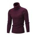 Men Modern Sweater Cable Knit Pattern High Collar Rib Cuffs Long Sleeves Slim Sweater