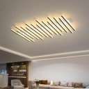 Linear Flush Mount Light 15 Lights Contemporary Modern Acrylic Shade LED Light for Drawing Room