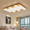 Modern Creative Wooden Acrylic Ceiling Light Home Decoration Dimmable LED Light