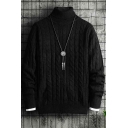 Popular Men's Sweater Pure Color High Neck Long-Sleeved Regular Fit Pullover Sweater