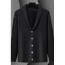 Leisure Men Cardigan Solid Color Cable Knit Button Fly Lapel Collar Long Sleeve Regular Fit Cardigan