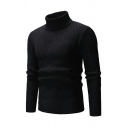Basic Designed Mens Pullover Solid Long-sleeved High Neck Regular Pullover