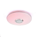 Dimmable Ceiling Mounted Light Modern Contracted Metal and Acrylic Shade LED Light for Bedroom