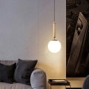 Globe Pendant Light Fixtures Modern Minimalism 1 Light Bedroom Hanging Light