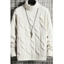 Comfy Sweater Plain High Neck Cable Knit Long Sleeve Relaxed Fit Sweater for Men